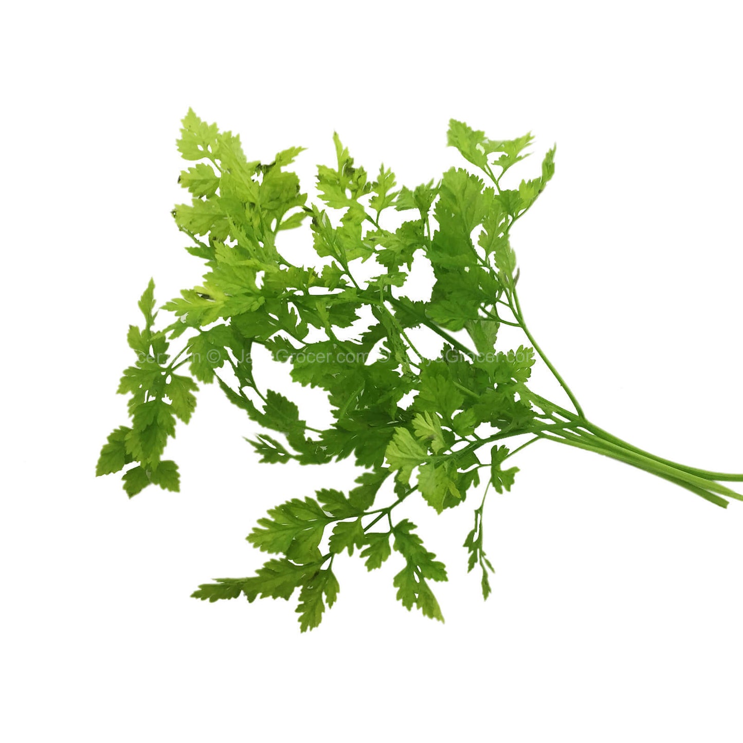 Cameron Garden Chervil Leaves 10g