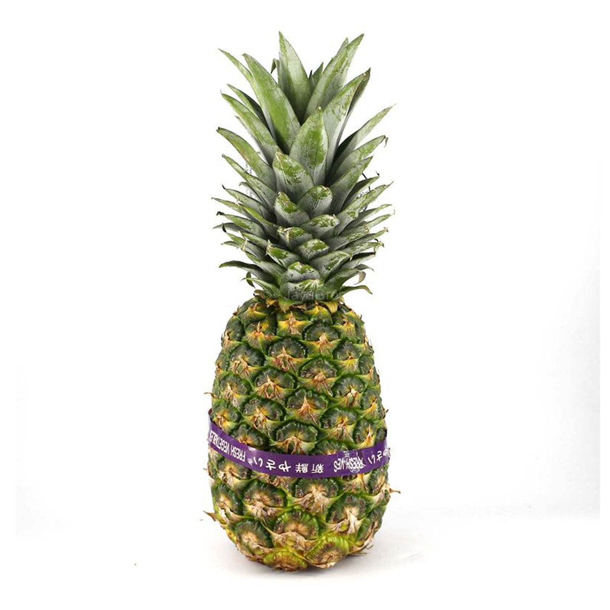 MD2 Pineapple (Malaysia) 1unit