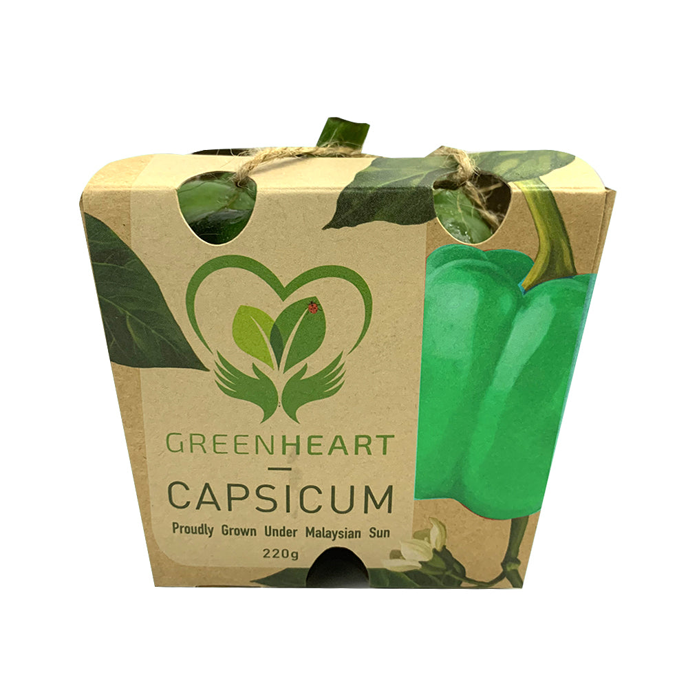 Green Heart Green Capsicum (Malaysia) 1unit